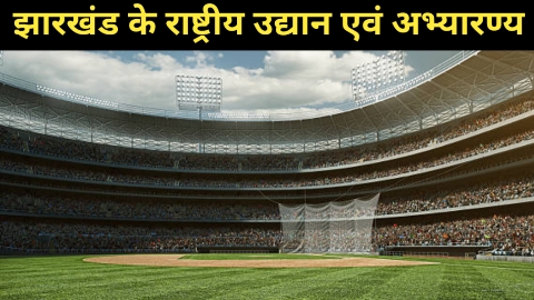 Wildlife Sanctuary Of Jharkhand