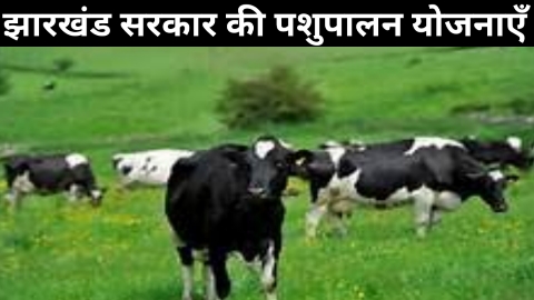 झारखंड की पशुपालन योजना