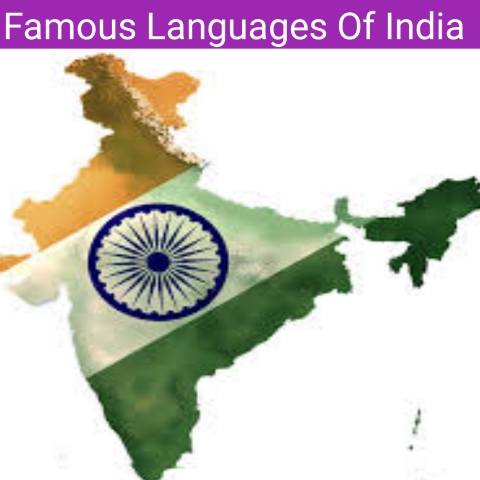 Languages In India