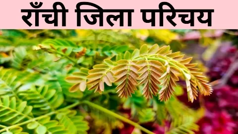 राँची जिला