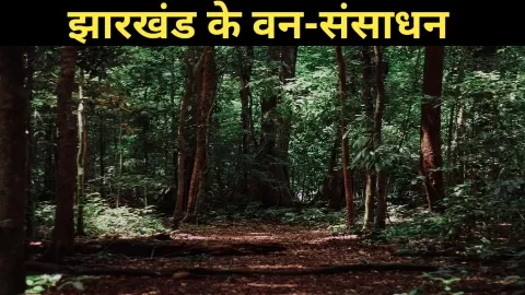 झारखंड के वन सम्पदा