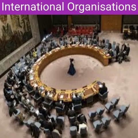 International Organisations