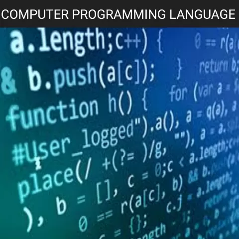 Computer Programming Language